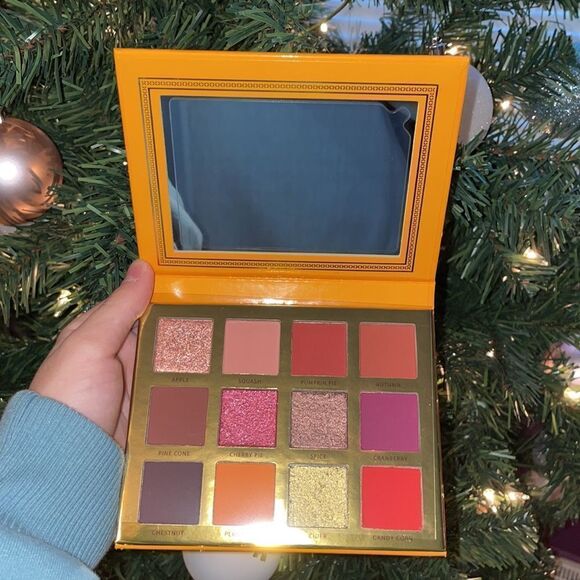 Ace Beaute Falling For You Eye Shadow Palette favorite Fall shades - Picture 5 of 7